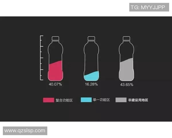深入解析上海足球队的实力表现与数据分析背后的秘密